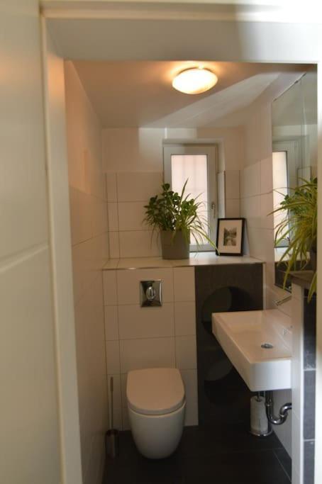 Apartment Gemutlich Zentrale Souterraint 65qm